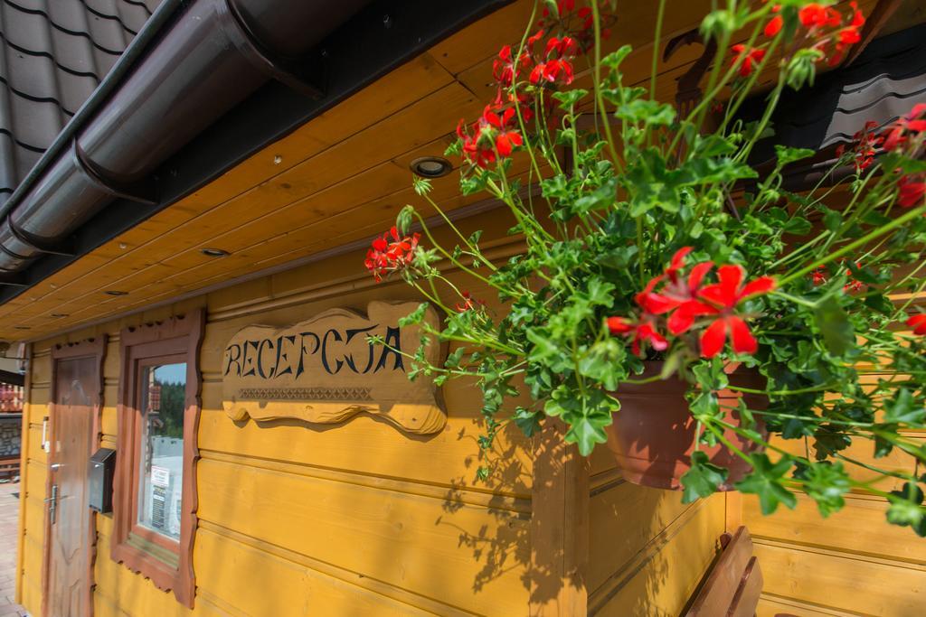 Willa Stachoniówka Zakopane Exterior foto